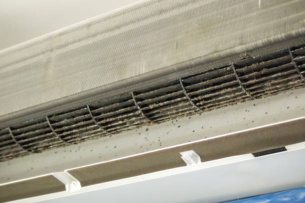 Best Dryer Vent Cleaning Services  in Bradford, OH